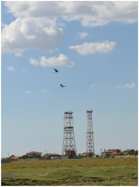 Молочне з panoramio.com - Молочне