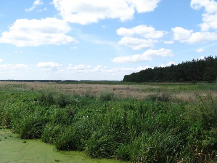 Чехівка з panoramio.com - Чеховка