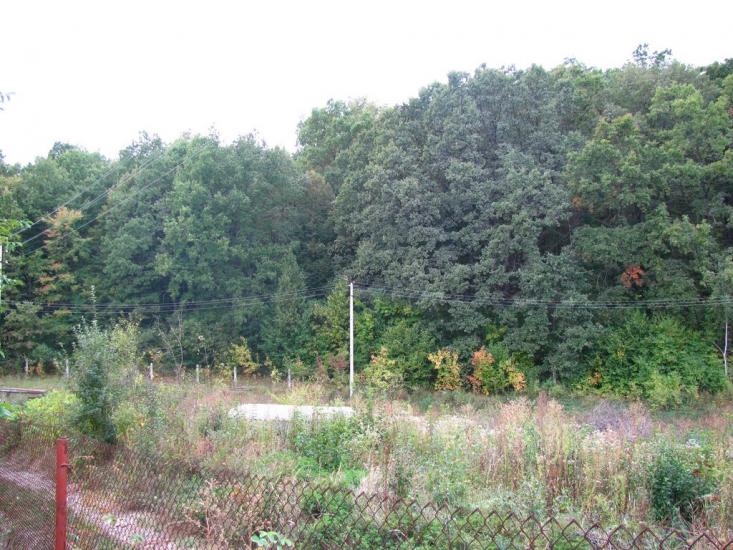Циркуни з panoramio.com - Циркуни