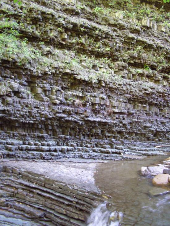 Букове з panoramio.com - Букове