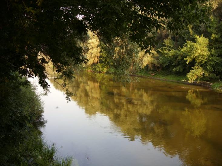 Говтва з panoramio.com - Govtva