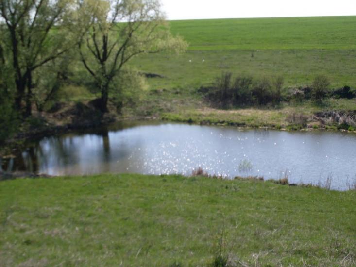 Куна з panoramio.com - Kuna