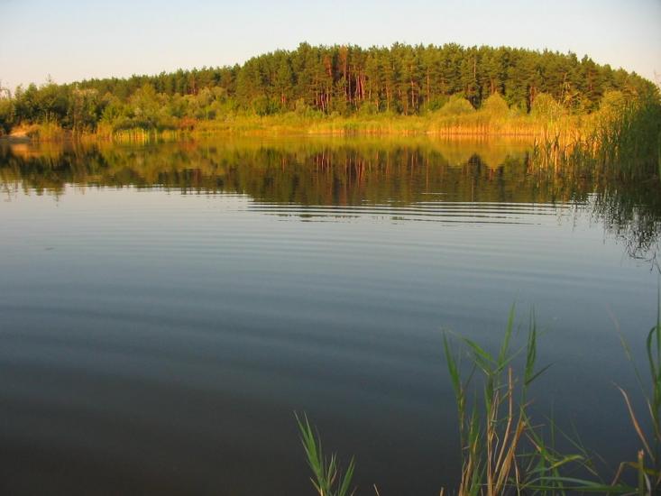 Циркуни з panoramio.com - Циркуны