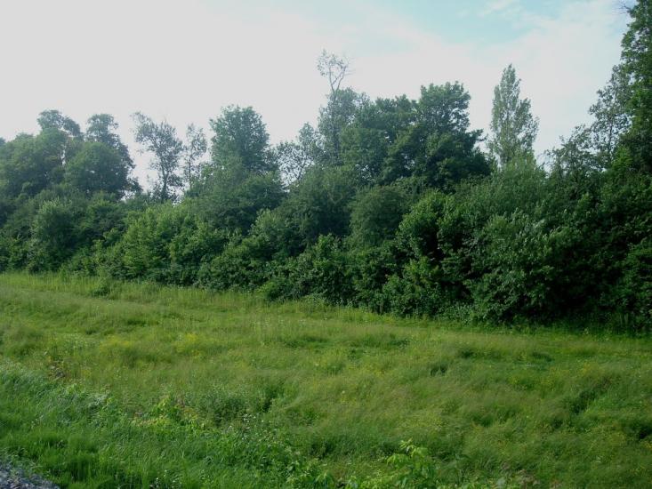 Мокіївці з panoramio.com - Мокіївці