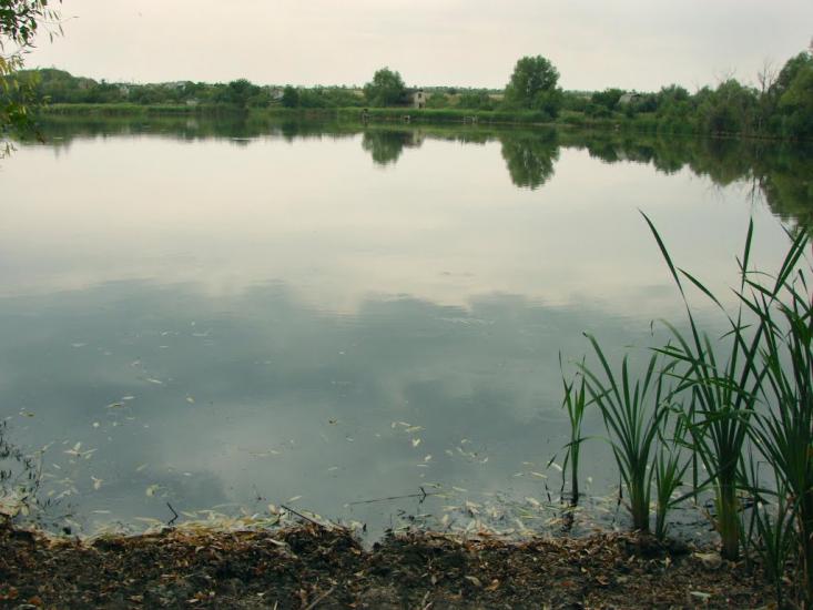 Новий Донбас з panoramio.com - Новий Донбас