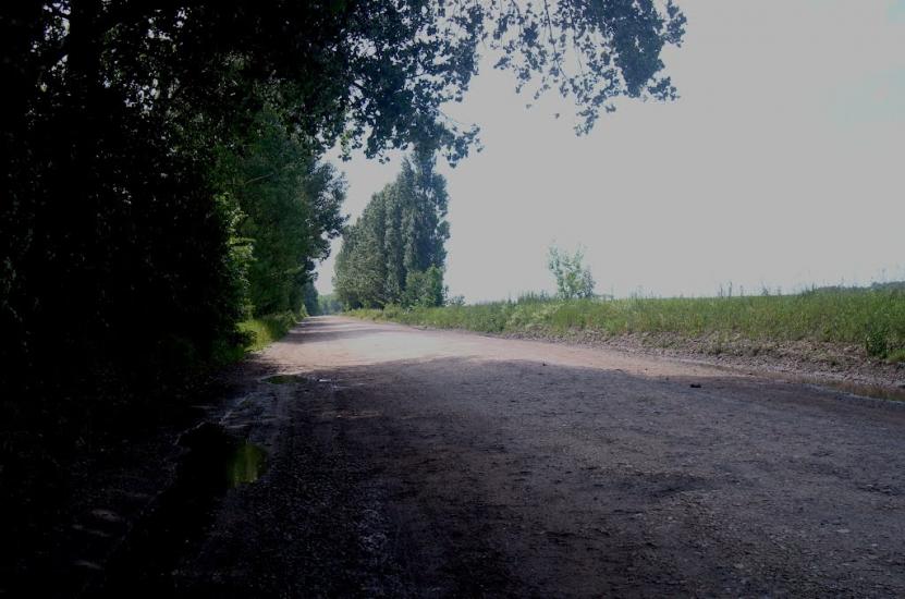 Черепова з panoramio.com - Черепова