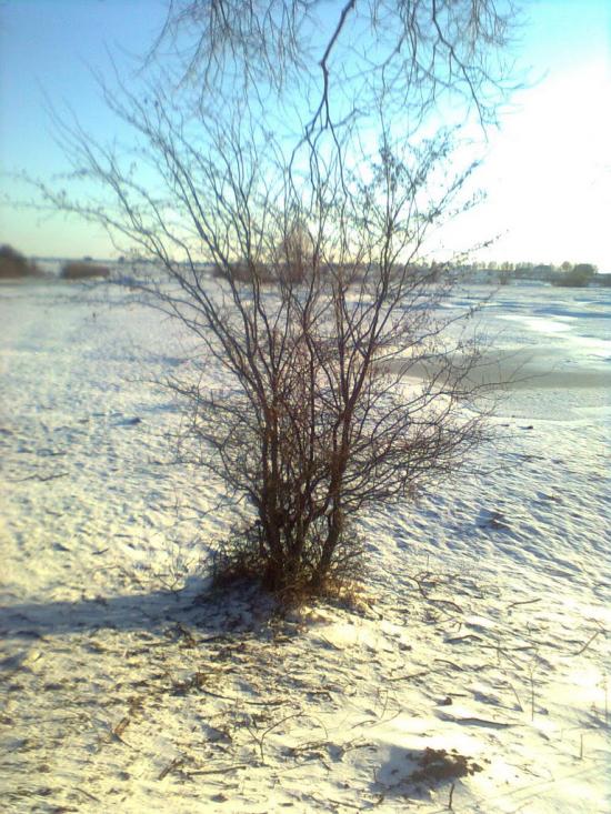 Городець з panoramio.com - Gorodets
