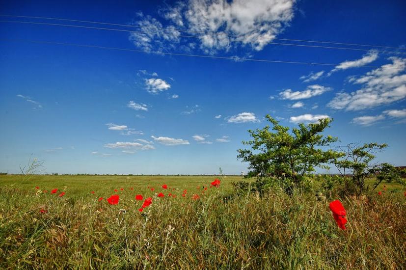 Вітине з panoramio.com - Витино