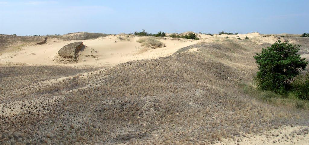 Пролетарка з panoramio.com - Пролетарка