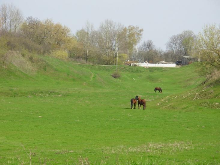 Білопілля з panoramio.com - Bilopillya