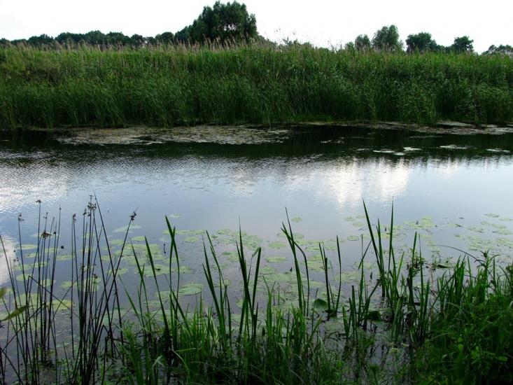 Журавка з panoramio.com - Журавка