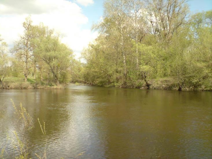Лабурівка з panoramio.com - Лабуревка
