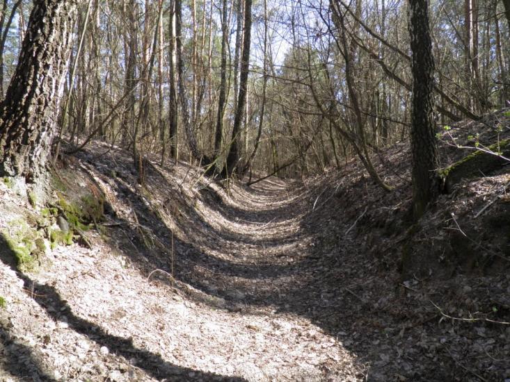 Єньків з panoramio.com - Yenkiv