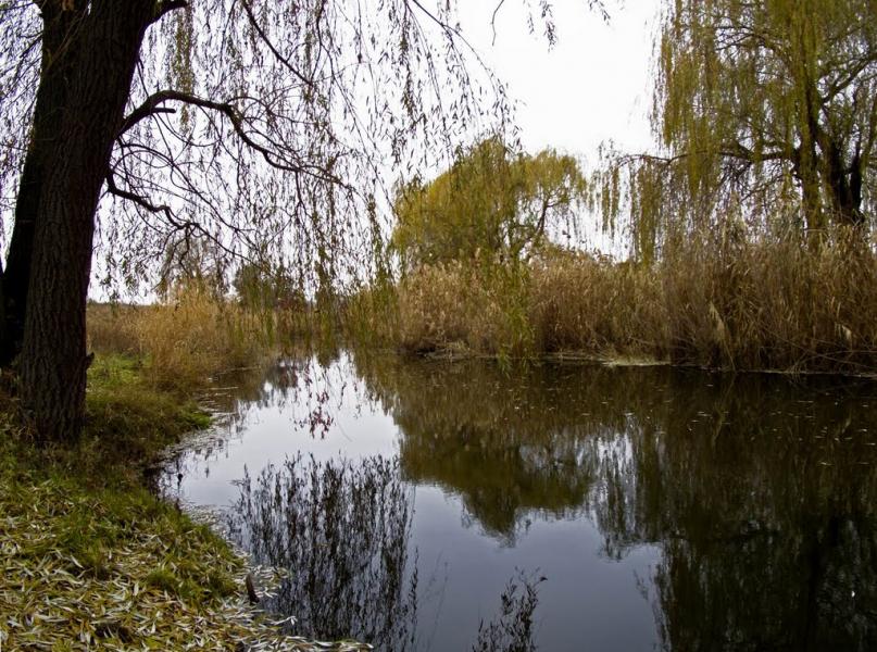Глеюватка з panoramio.com - Глееватка