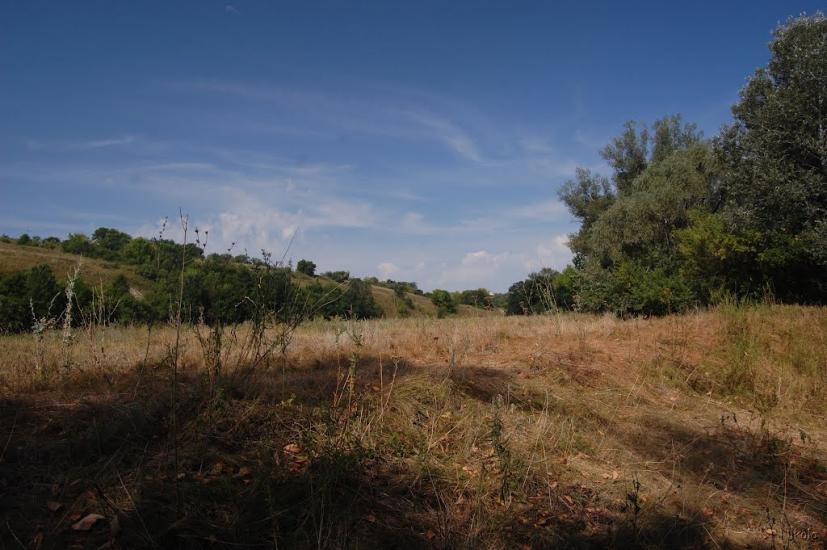 Біла Гора з panoramio.com - Bila Gora