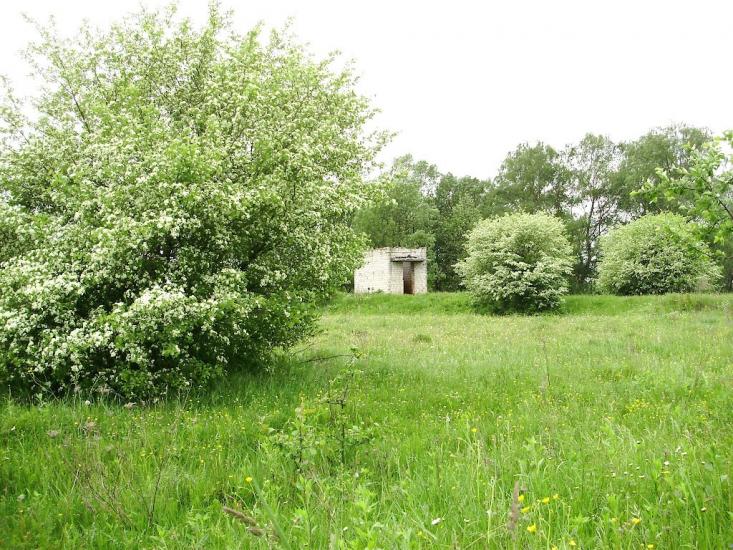 Черниця з panoramio.com - Черниця