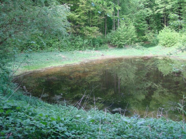 Іванківці з panoramio.com - Иванковцы