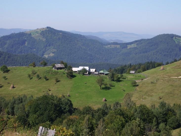 Соколівка з panoramio.com - Соколовка