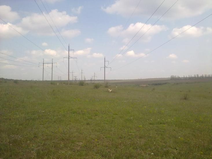 Михайло-Ларине з panoramio.com - Михайло-Ларине