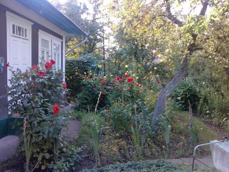 Подвір'ївка з panoramio.com - Подворьевка