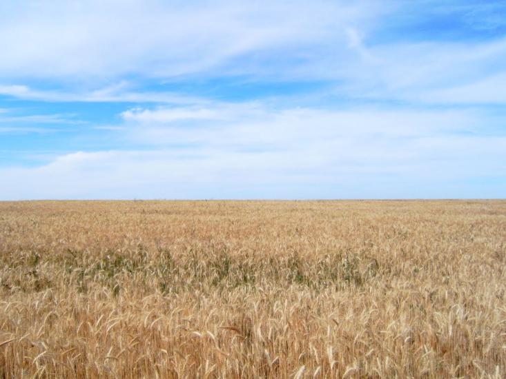 Висока Яруга з panoramio.com - Висока Яруга