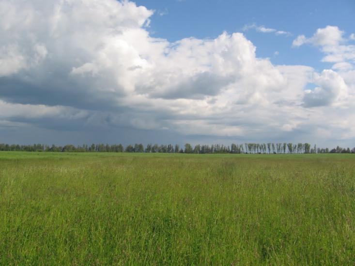 Терехівка з panoramio.com - Тереховка