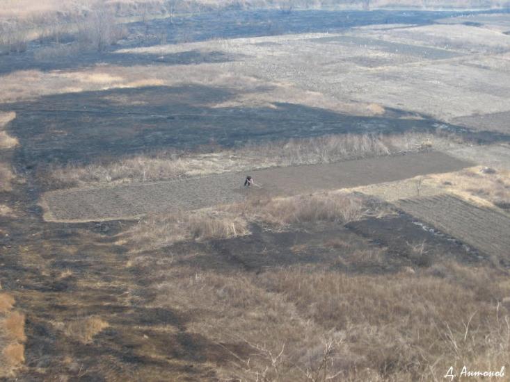 Степне з panoramio.com - Степное