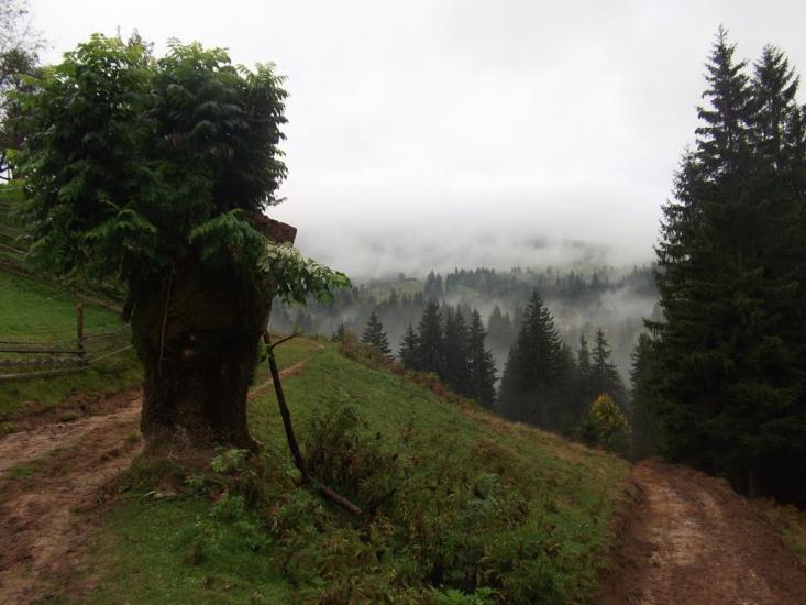 Черетів з panoramio.com - Черетів