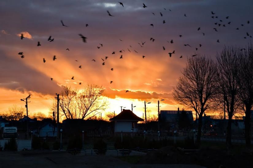 Запитів з panoramio.com - Запитов