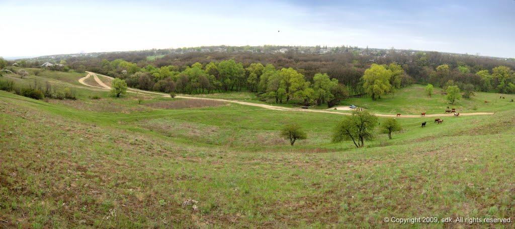 Вергулівка з panoramio.com - Вергулівка