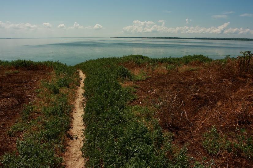Менжинське з panoramio.com - Менжинское
