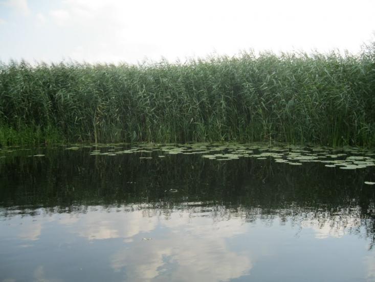 Хотешів з panoramio.com - Хотешов