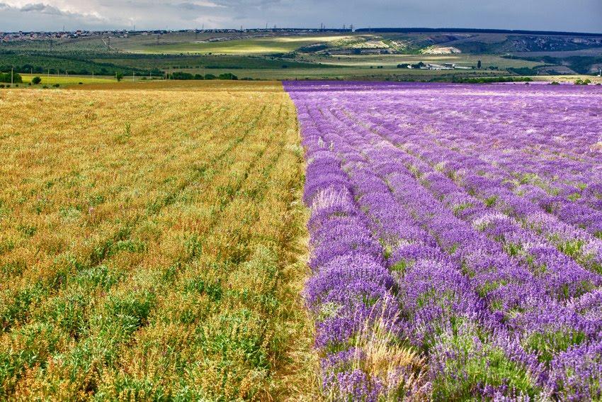 Тургенєвка з panoramio.com - Тургенєвка