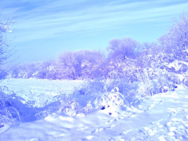Чорноморка з panoramio.com - Черноморка