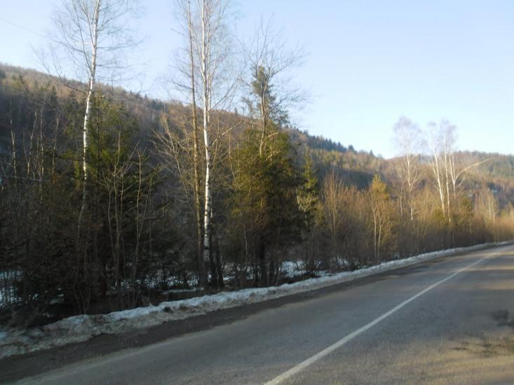 Новий Мізунь з panoramio.com - Novyy Mizun
