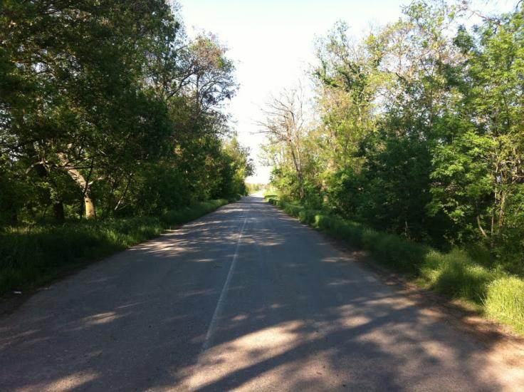Жемчужина з panoramio.com - Жемчужина