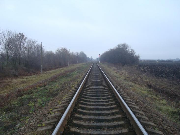 Воронківці з panoramio.com - Воронковцы