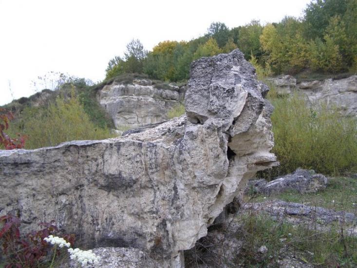 Віньківці з panoramio.com - Виньковцы