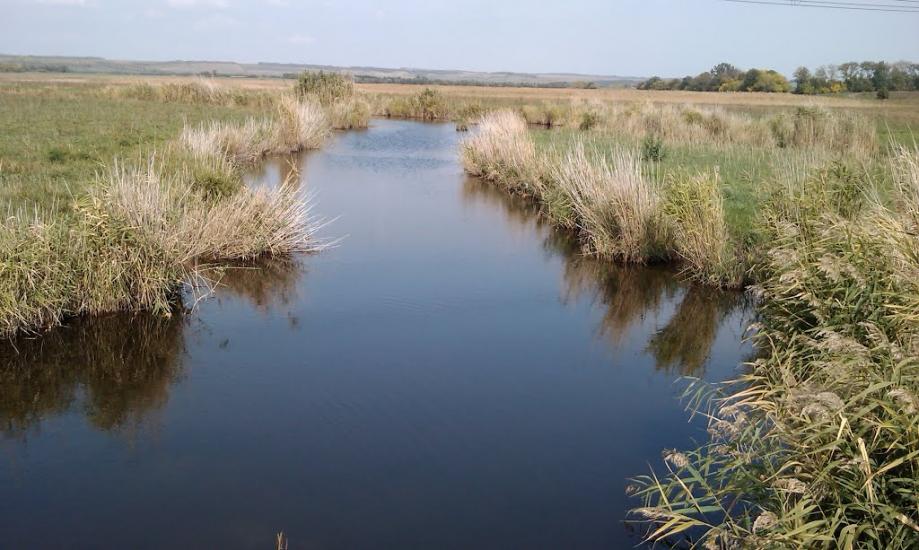 Кам'янка з panoramio.com - Кам'янка