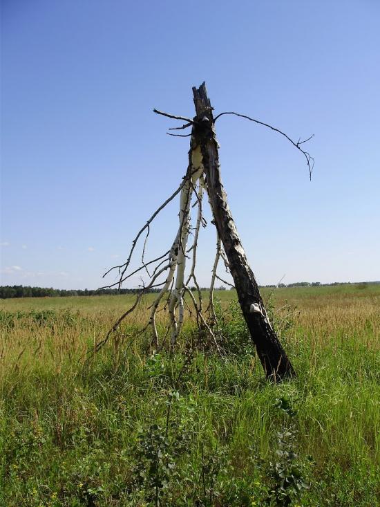 Остроушки з panoramio.com - Остроушки