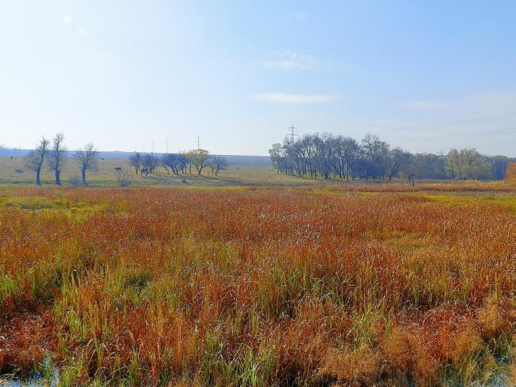 Нижня Кринка з panoramio.com - Nyzhnya Krynka