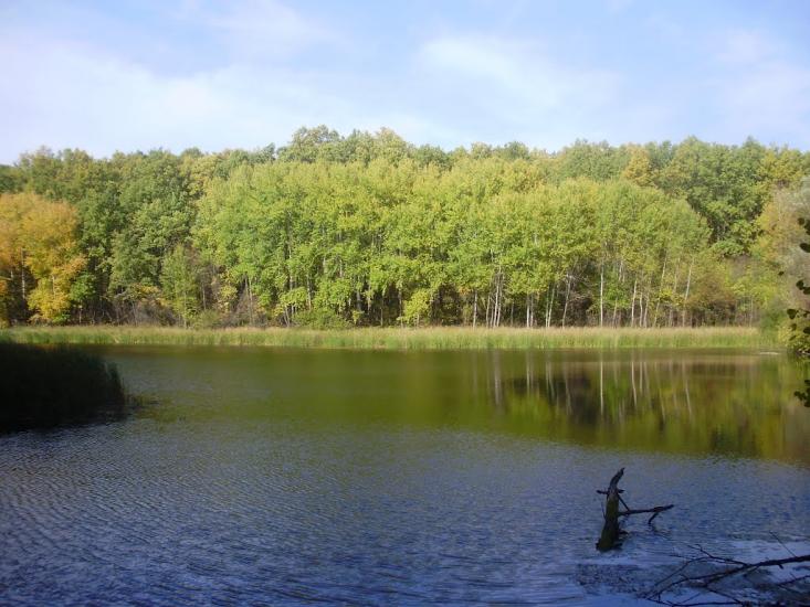 Руські Тишки з panoramio.com - Руські Тишки