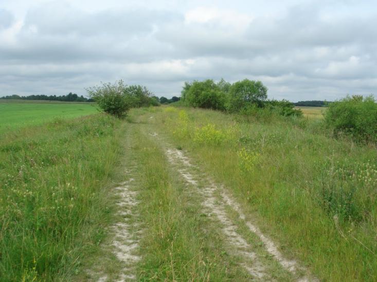 Мощена з panoramio.com - Мощена