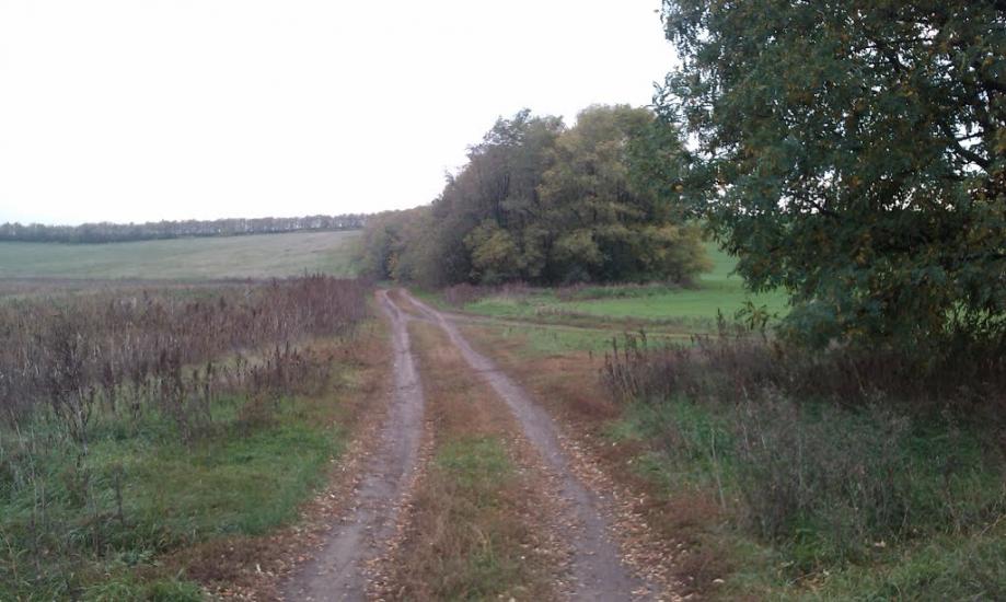 Кам'янка з panoramio.com - Камянка