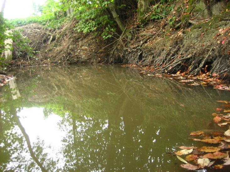 Пилипи з panoramio.com - Пилипи