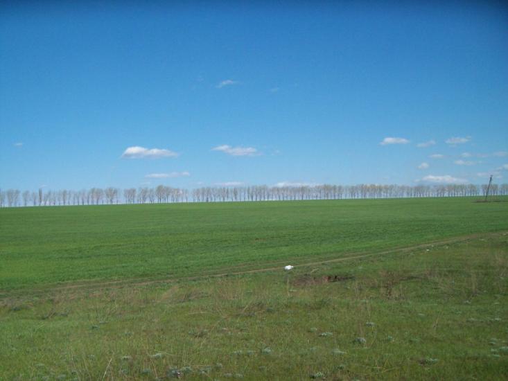 Сурсько-Клевцеве з panoramio.com - Сурсько-Клевцеве