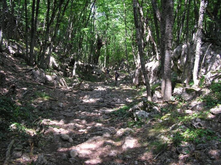 Колхозне з panoramio.com - Колхозное