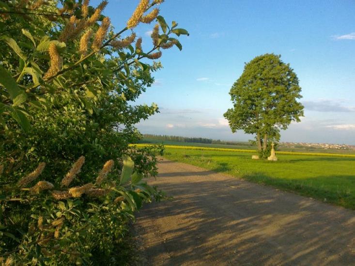 Михальча з panoramio.com - Михальча