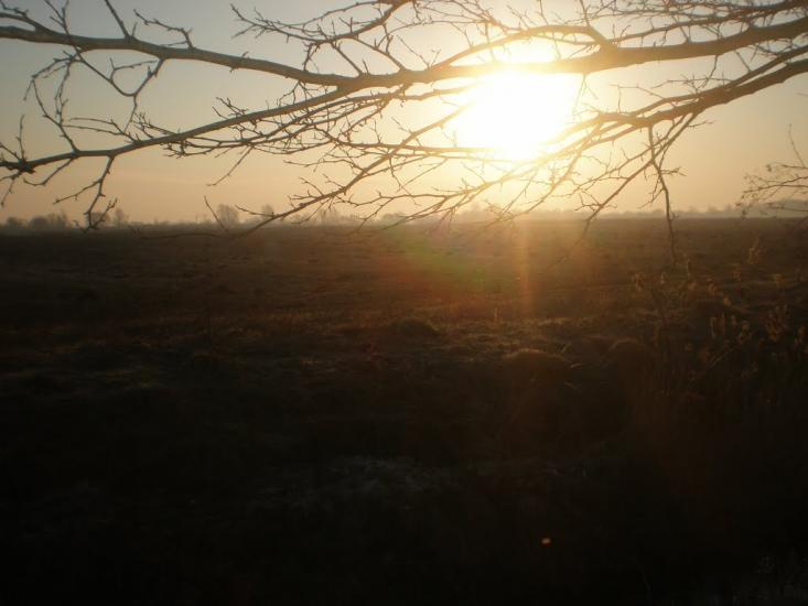 Нова Буда з panoramio.com - Новая Буда