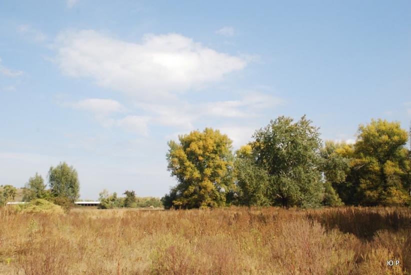 Гавронці з panoramio.com - Гавронці